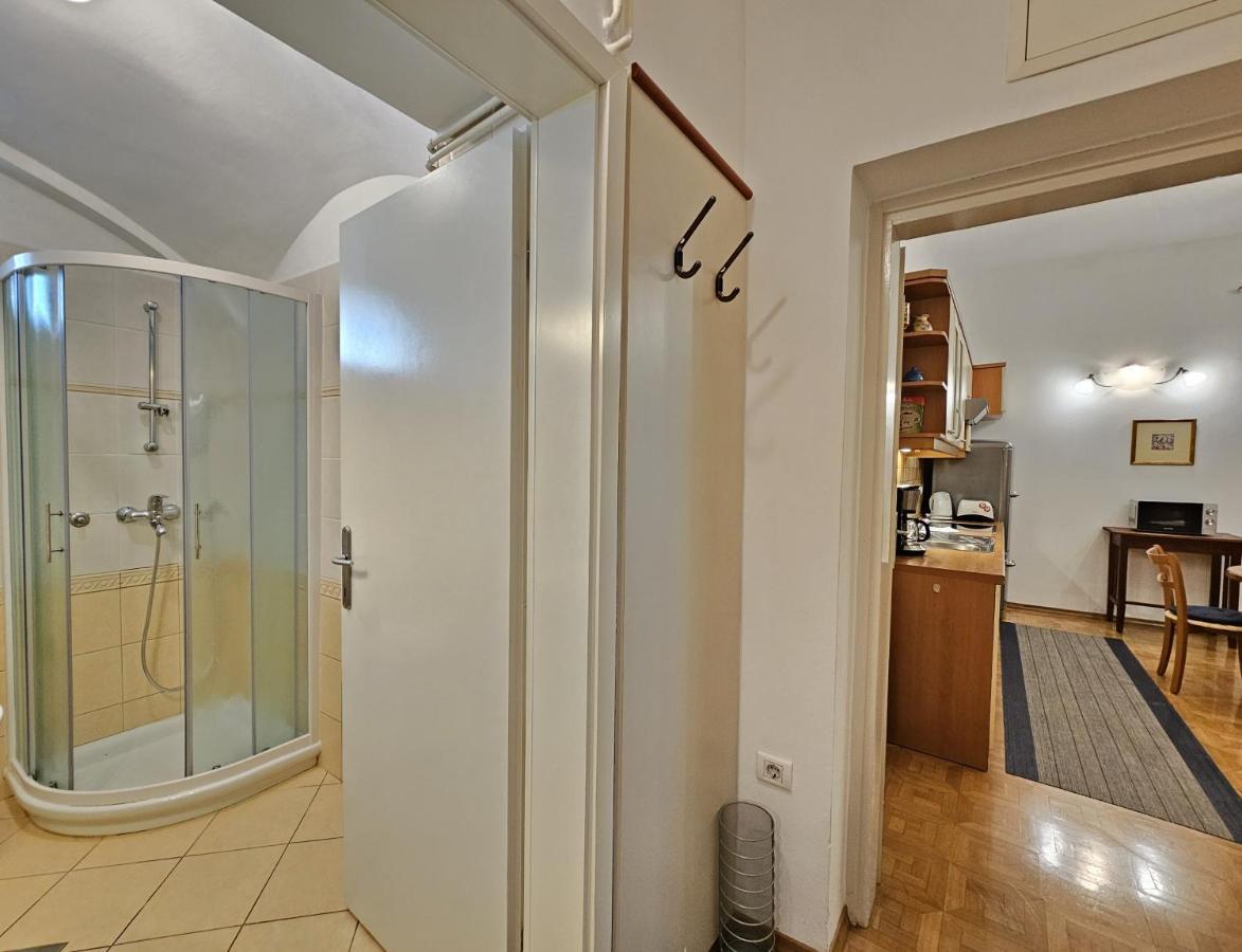 Spacious Central Studio Nika 2 Tour As Ljubljana Ngoại thất bức ảnh