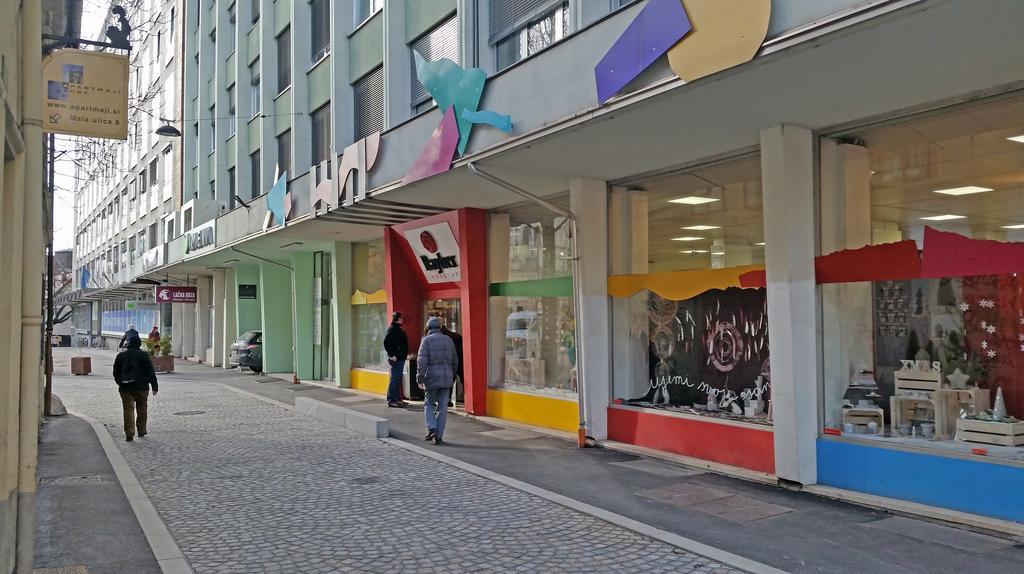 Spacious Central Studio Nika 2 Tour As Ljubljana Ngoại thất bức ảnh